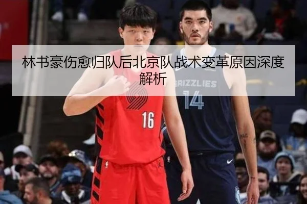 林书豪伤愈归队后北京队战术变革原因深度解析