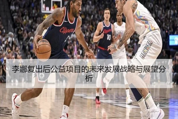李娜复出后公益项目的未来发展战略与展望分析