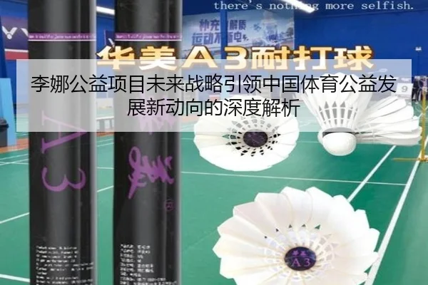 李娜公益项目未来战略引领中国体育公益发展新动向的深度解析
